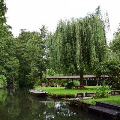 乐鱼app官网下载官方版